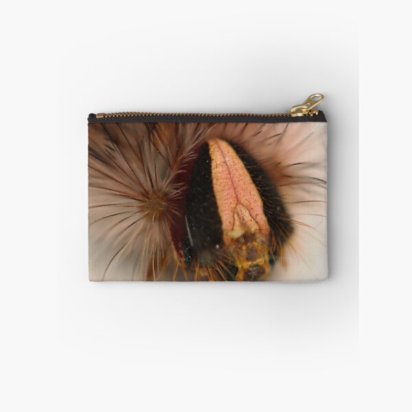 Item preview, Anthela acuta designed and sold by andrachne.