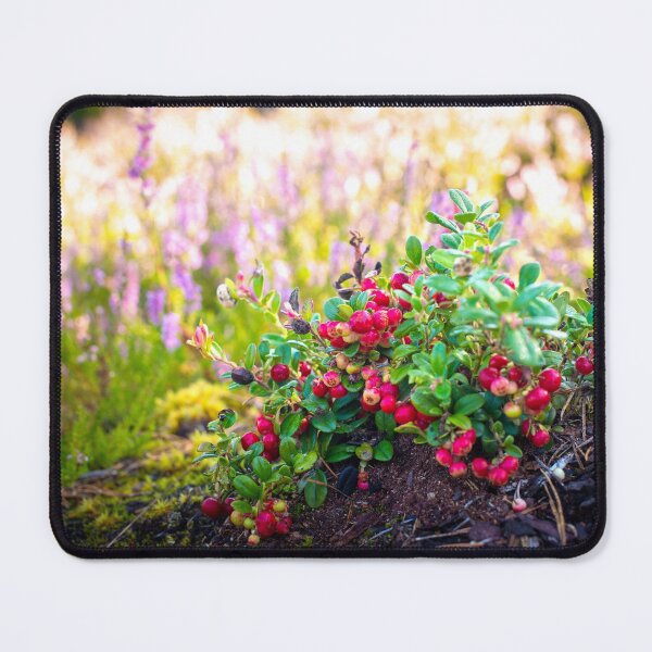 Item preview, Lingonberry Bush in a Swedish Forest designed and sold by KatjaBozarth.