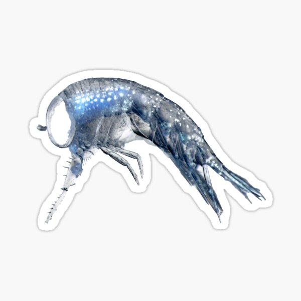 Item preview, Amphipods designed and sold by MicrocosmFilm.