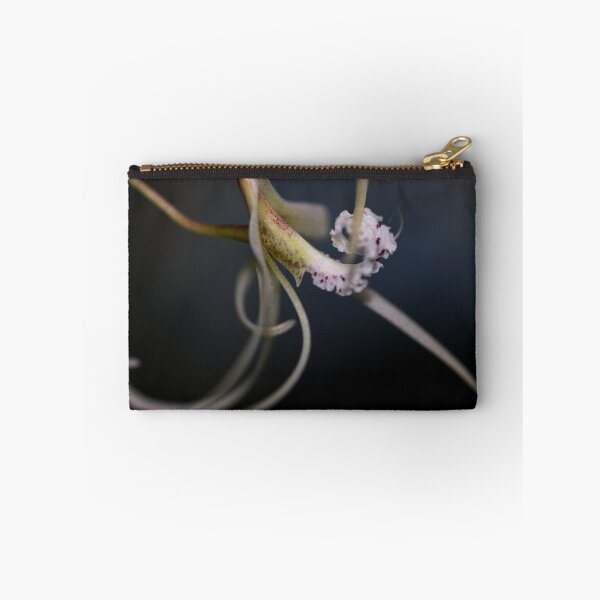 Item preview, Dendrobium teretifolium  designed and sold by andrachne.