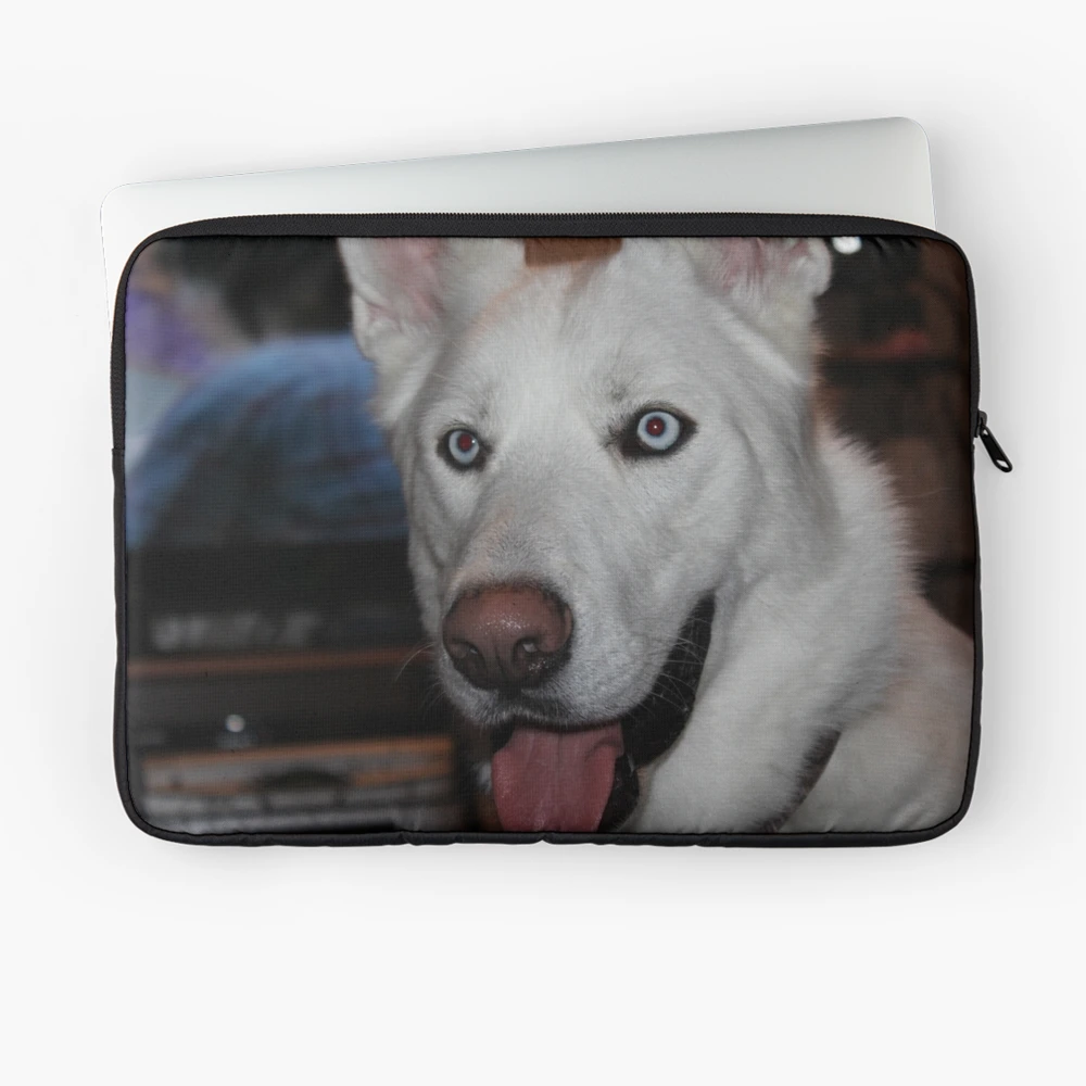 Husky Reflection 24 x 36 Canvas – Handsome Dogz Clothing Co.