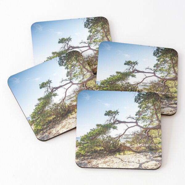 Item preview, Windswept Fir Tree on a Swedish Beach designed and sold by KatjaBozarth.