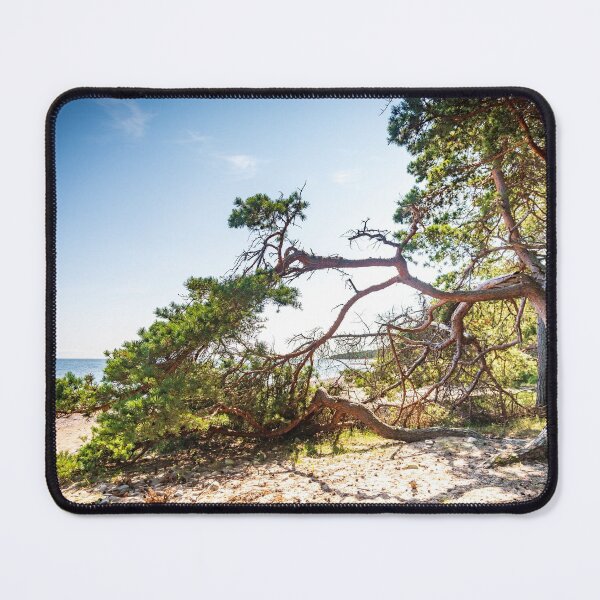 Item preview, Windswept Fir Tree on a Swedish Beach designed and sold by KatjaBozarth.