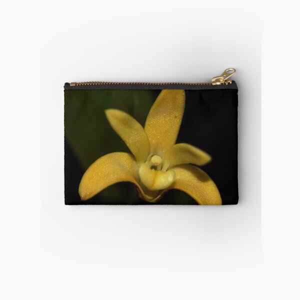 Item preview, Dendrobium gracilicaule designed and sold by andrachne.