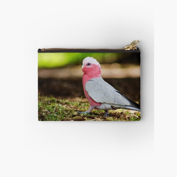 Item preview, Mr Galah Struttin' His Stuff designed and sold by Kate Wall.