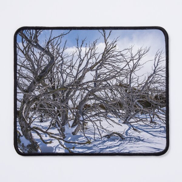 Item preview, Snow Gums at Perisher Valley in NSW Australia designed and sold by KeithMcInnes.