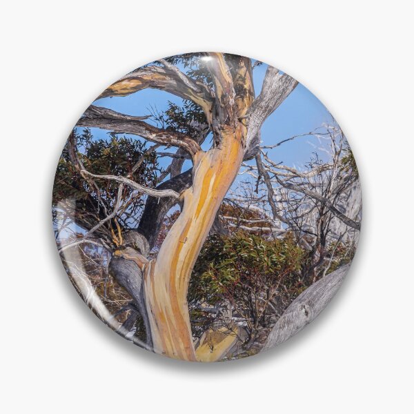 Item preview, Snow Gums at Perisher Valley in NSW Australia designed and sold by KeithMcInnes.