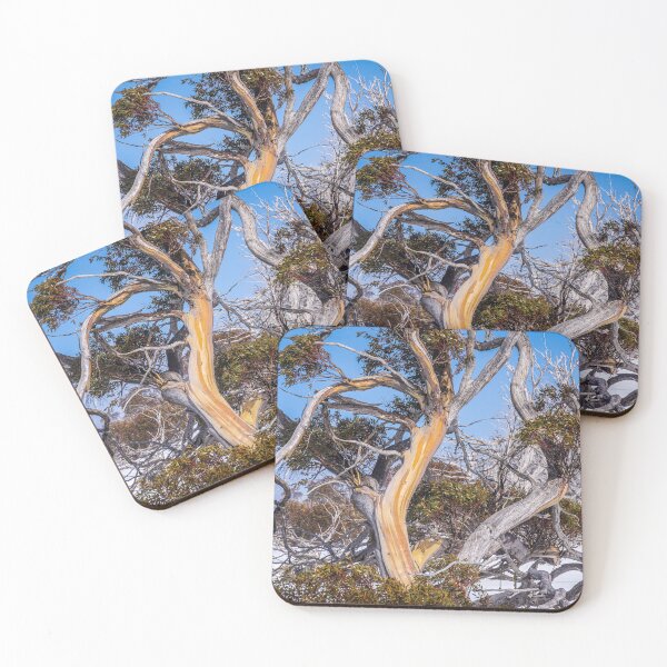 Item preview, Snow Gums at Perisher Valley in NSW Australia designed and sold by KeithMcInnes.