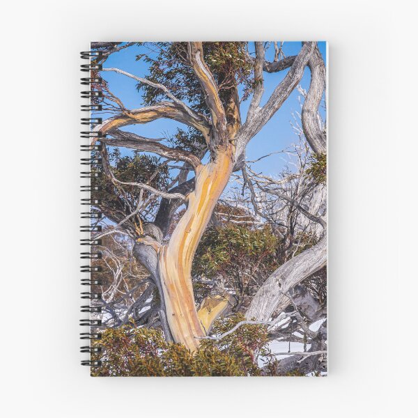 Item preview, Snow Gums at Perisher Valley in NSW Australia designed and sold by KeithMcInnes.