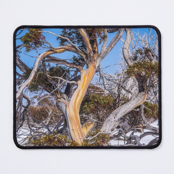 Snow Gums at Perisher Valley in NSW Australia Mouse Pad