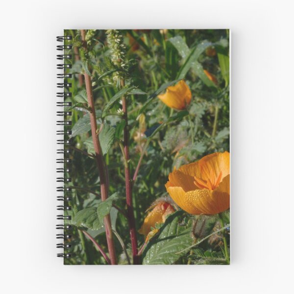 Item preview, Desert Globe Mallow 337 designed and sold by ptosis.