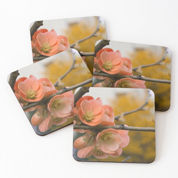 Item preview, Peachy fall vibes (flower photo) designed and sold by Juditdesign.