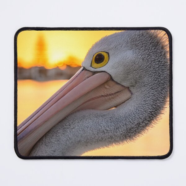 Item preview, Pelican at Forster-Tuncurry, NSW Australia designed and sold by KeithMcInnes.