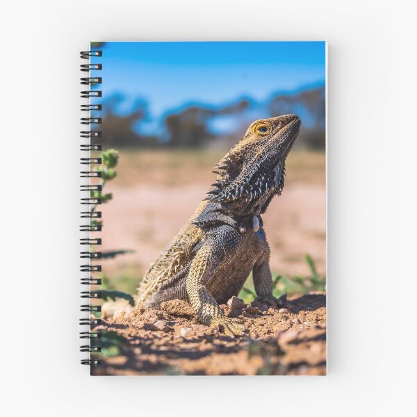 Item preview, Frill Necked Lizard at Mungo National Park NSW Australia designed and sold by KeithMcInnes.