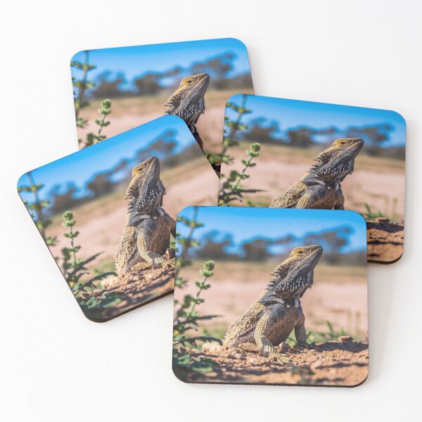 Item preview, Frill Necked Lizard at Mungo National Park NSW Australia designed and sold by KeithMcInnes.