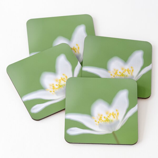 Item preview, Wood Anemone flower (Anemone nemorosa) designed and sold by Craig Joiner.