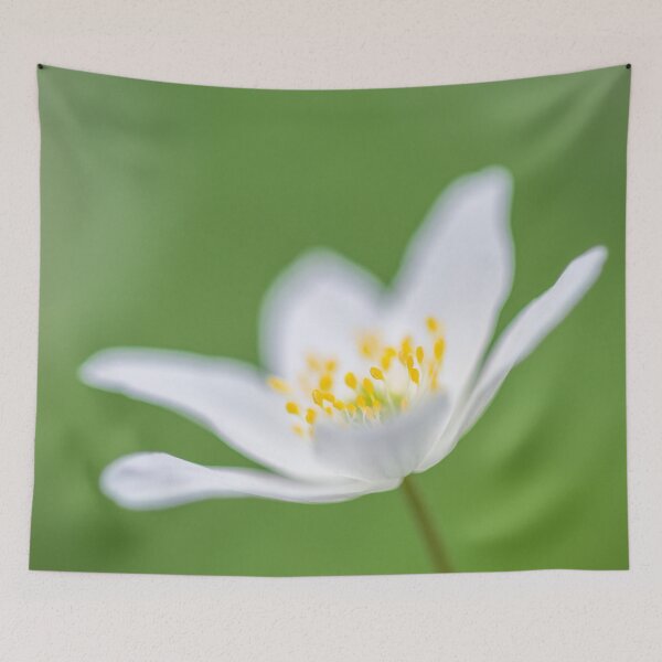 Item preview, Wood Anemone flower (Anemone nemorosa) designed and sold by Craig Joiner.