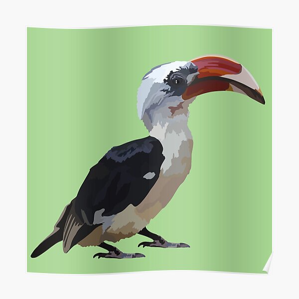 40 Sketsa Gambar Burung Rangkong Terbaru