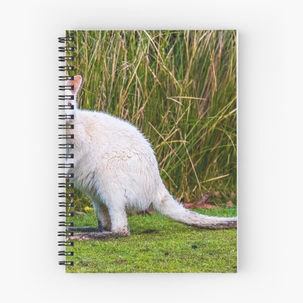 Item preview, White Wallaby on Bruny Island in Tasmania, Australia designed and sold by KeithMcInnes.