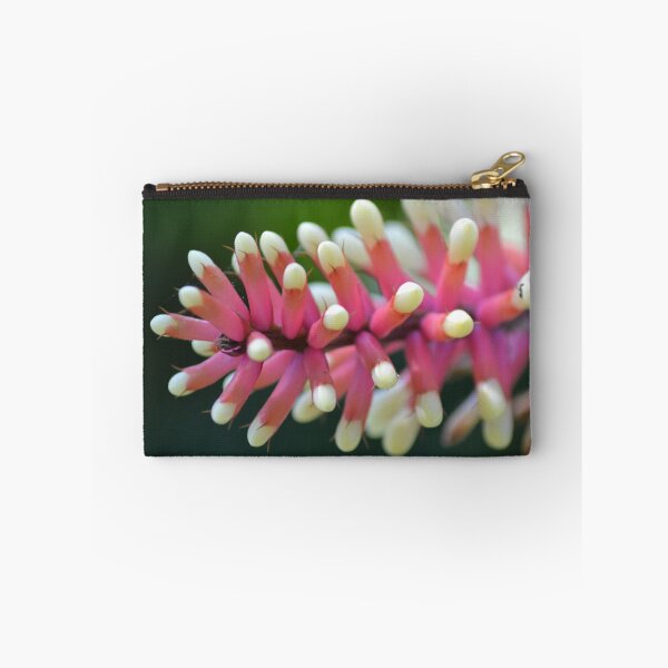Item preview, Bromeliad designed and sold by TheaShutterbug.