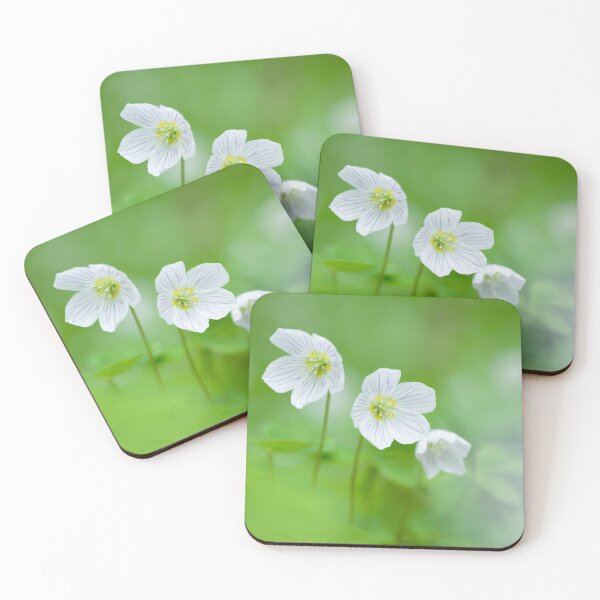 Item preview, Wood Sorrel Flowers (Oxalis acetosella) designed and sold by Craig Joiner.