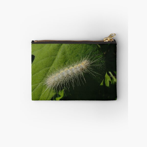 Item preview, 338 Saltmarsh Caterpillar designed and sold by ptosis.