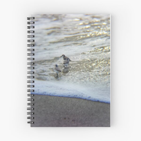 Item preview, Sand Pipers @ the Beach designed and sold by Jennifer Phipps.