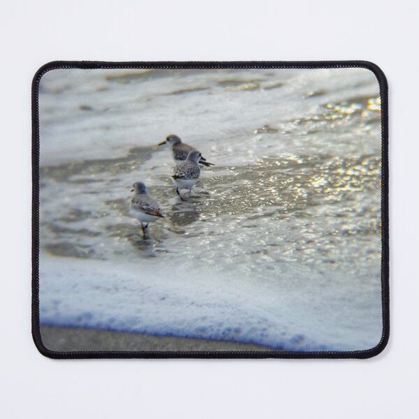 Item preview, Sand Pipers @ the Beach designed and sold by Jennifer Phipps.