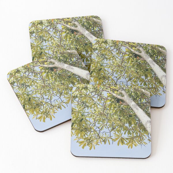 Item preview, Hojas verdes bajo el cielo-árbol bajo el sol designed and sold by jinutt.