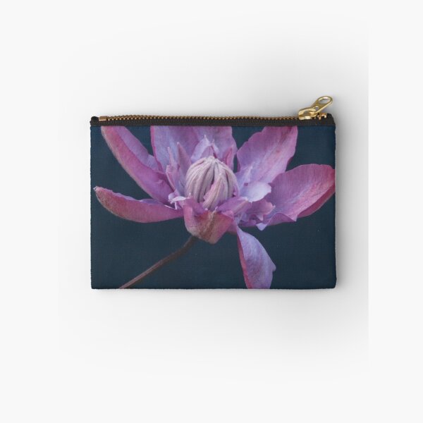 Aperçu de l'œuvre Purple Dwarf Clematis créée et vendue par kenwalters.