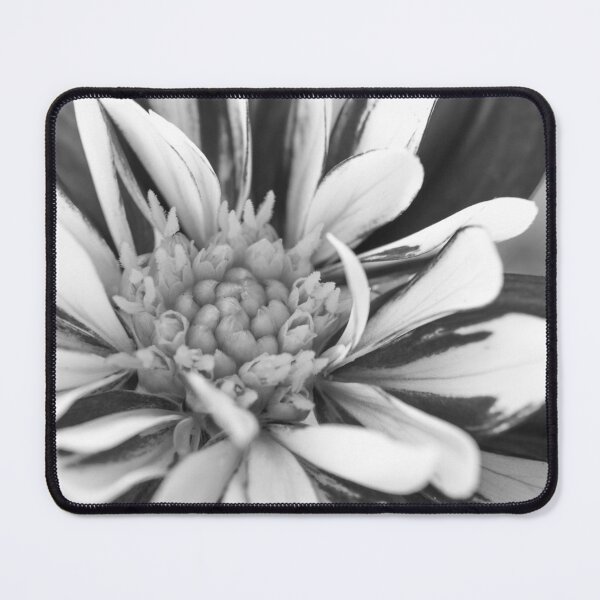 Item preview, Dahlia close black and white designed and sold by Juditdesign.