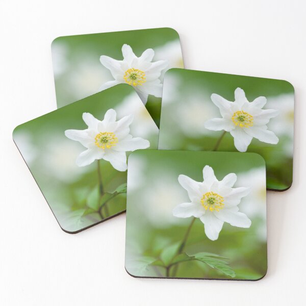 Item preview, Wood Anemone flowers (Anemone nemorosa) designed and sold by Craig Joiner.