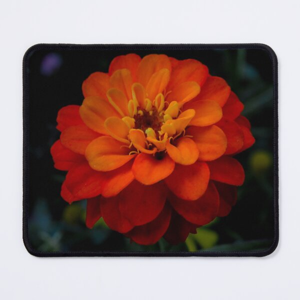 Item preview, Close up of an Orange flower designed and sold by Ann Biddlecombe.