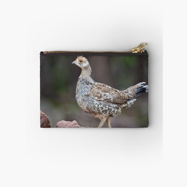 Item preview, Dusky Blue Grouse designed and sold by Kim Barton.