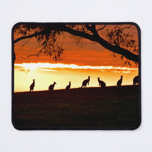 Item preview, Socially Distanced Kangaroos. Lancefield, Victoria. Australia. designed and sold by KYLIE MCKAY.