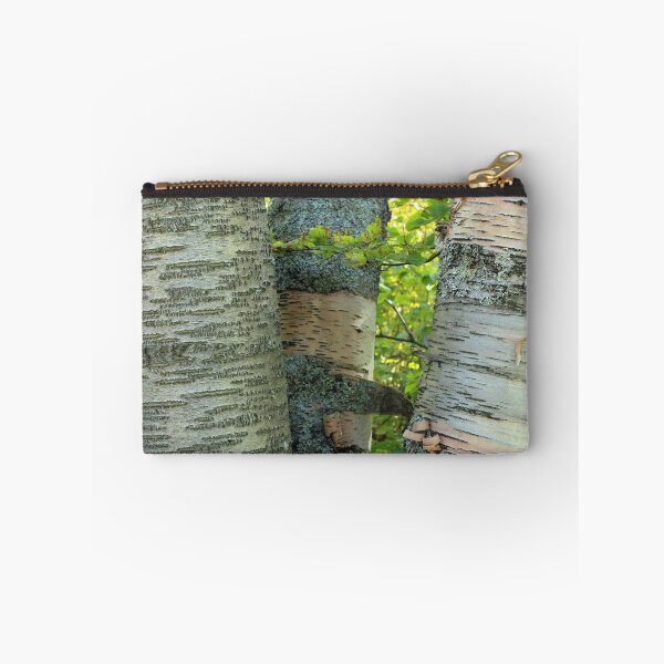 Item preview, Three Birch Tree Trunks designed and sold by Jim Sauchyn.