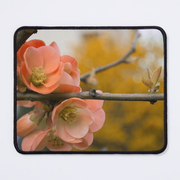 Item preview, Peachy fall vibes (flower photo) designed and sold by Juditdesign.