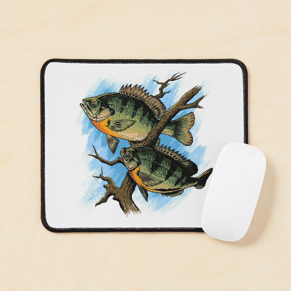 Bluegill Illustration Fishing Pullover design Art Board Print for Sale by  jakehughes2015