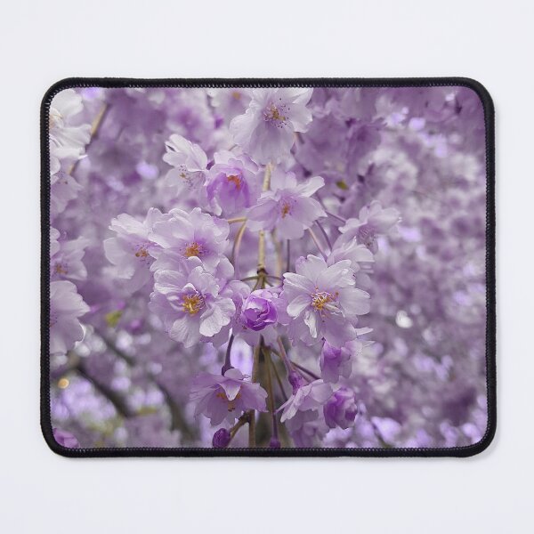 Item preview, Purple Cherry Blossom designed and sold by hodgeheg-.