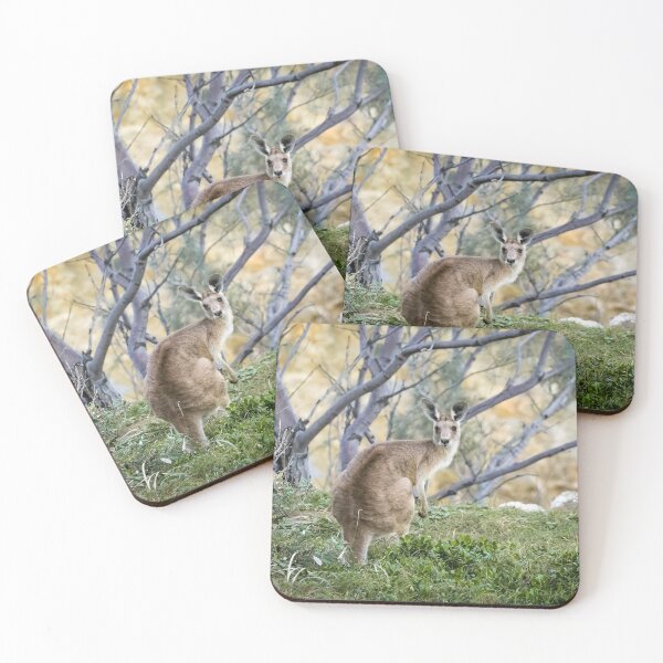 Item preview, Australian Kangaroo in Bushland designed and sold by Jaydee001.