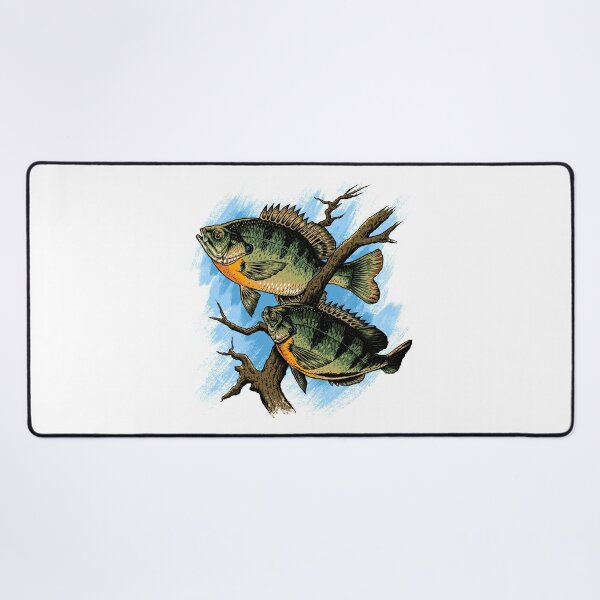 Bluegill Fishing print for Fishermen and Women Poster for Sale by