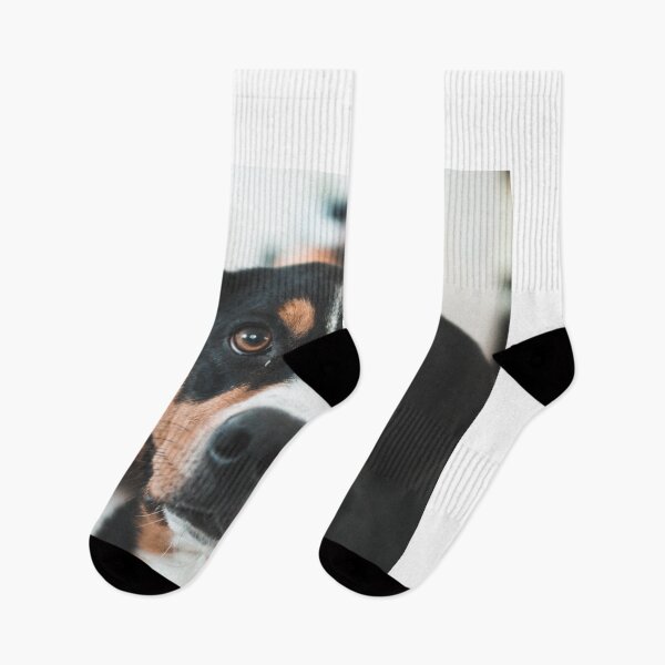 Item preview, dog photo with high resolution quality designed and sold by Allyouneed-2.