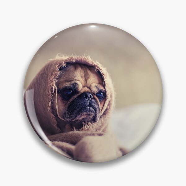 Item preview, dog photo with high resolution quality designed and sold by Allyouneed-2.