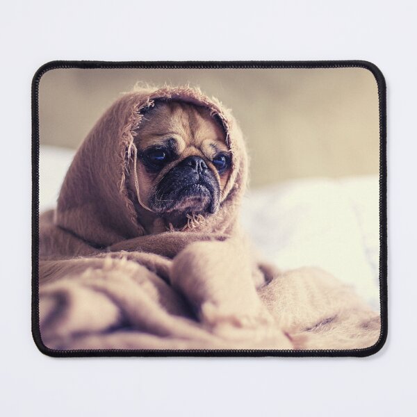 Item preview, dog photo with high resolution quality designed and sold by Allyouneed-2.