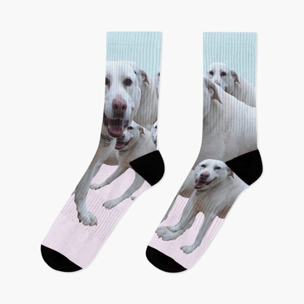 Item preview, Just a Happy Dog 2.  cute, sweet, cool, funny, dogs, dog, children, kids, pets, Redbubble. designed and sold by PrintedDreams.