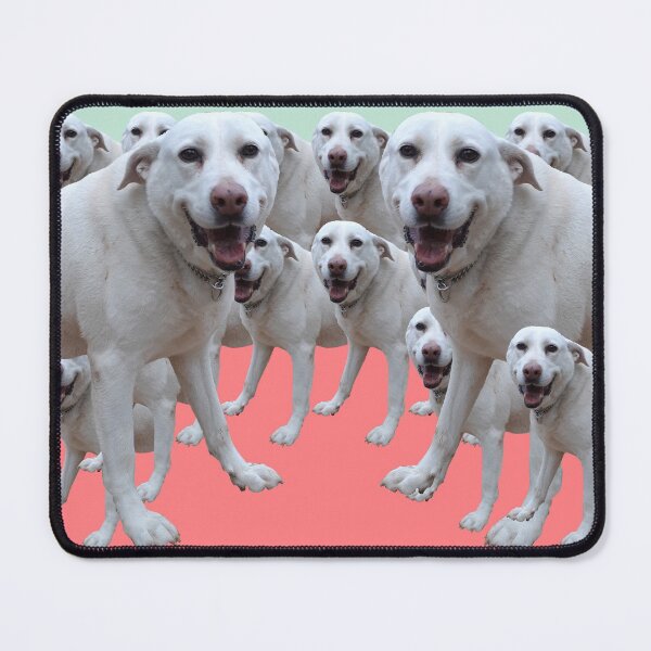 Item preview, Just a Happy Dog.  cute, sweet, cool, funny, dogs, dog, children, kids, pets, Redbubble. designed and sold by PrintedDreams.