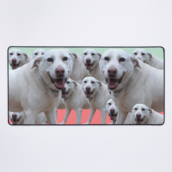 Item preview, Just a Happy Dog.  cute, sweet, cool, funny, dogs, dog, children, kids, pets, Redbubble. designed and sold by PrintedDreams.