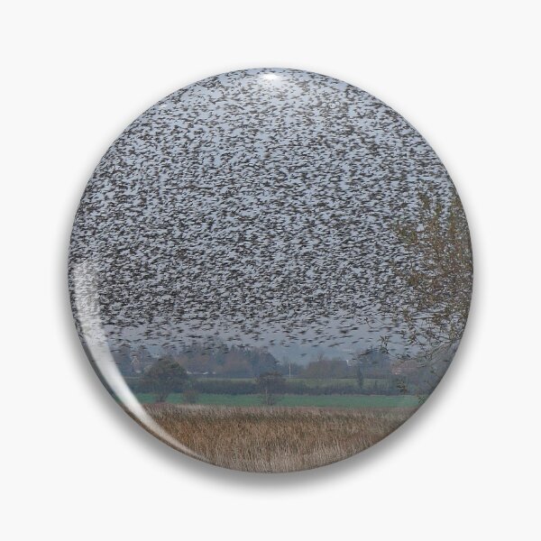 Item preview, Starlings Roosting On The Levels designed and sold by LaurenTucker.