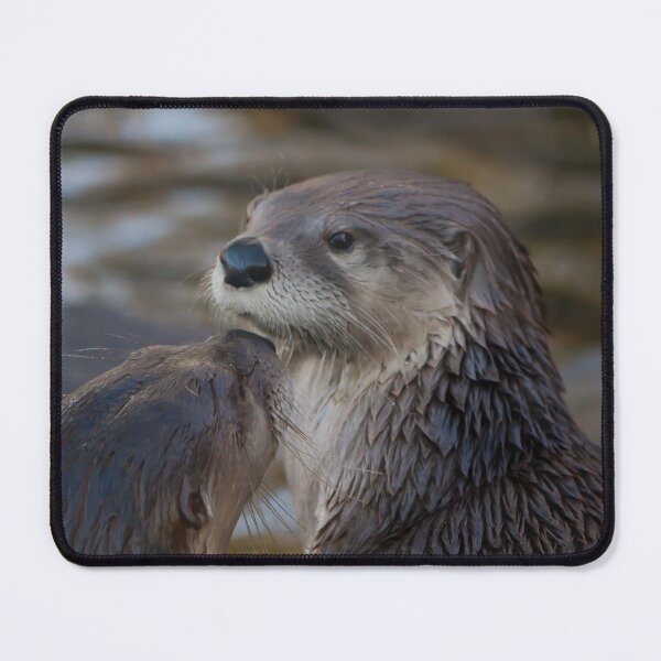 Item preview, A pair of Otters designed and sold by LaurenTucker.