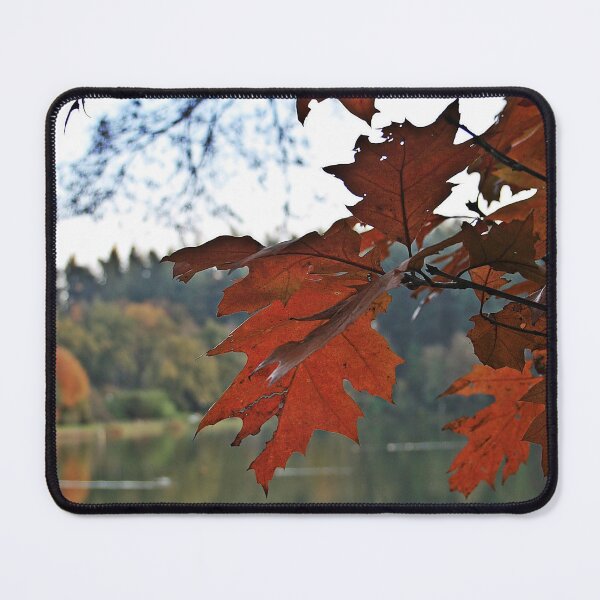 Item preview, Beautiful Autumn Leaves.. designed and sold by LaurenTucker.